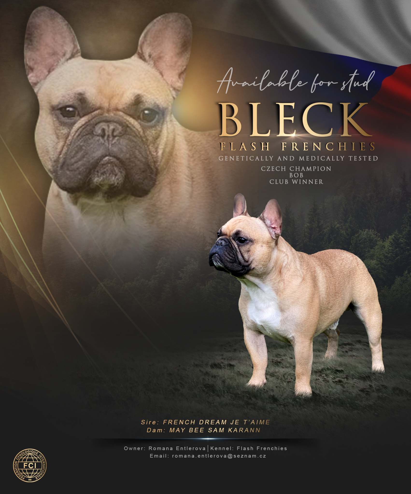 Bleck Flash Frenchies A Stud Male